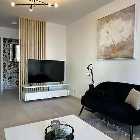 Apartment Spacieux De 73 M2 En Plein Centre-ville D'evian Avec 2