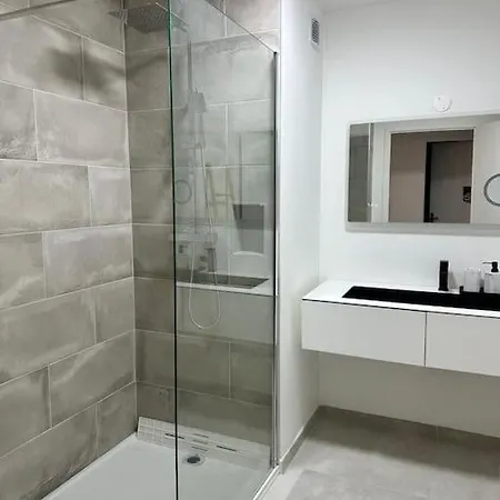 Spacieux De 73 M2 En Plein Centre-ville D'evian Avec 2 Apartment